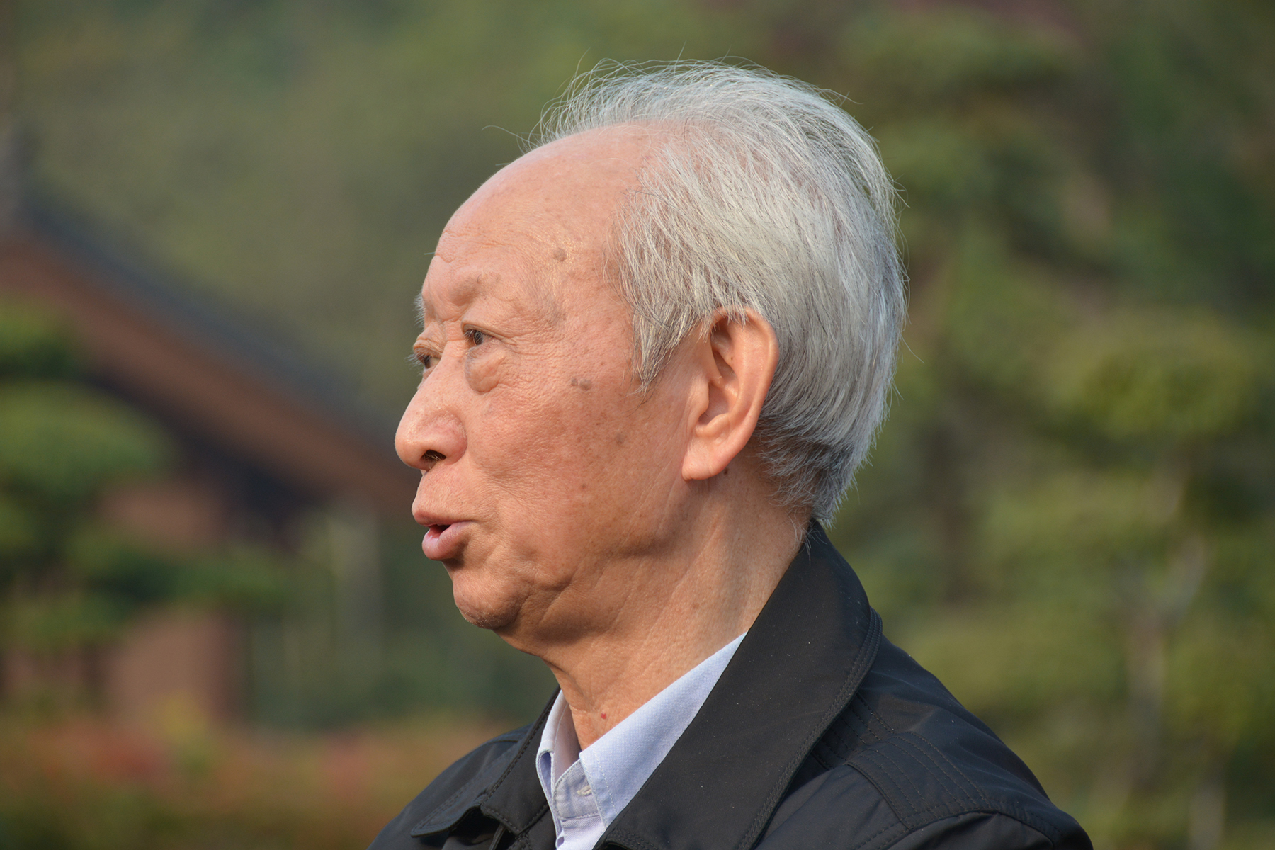 谭良啸